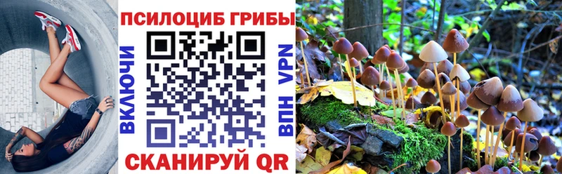kraken маркетплейс  Карабулак  Псилоцибиновые грибы ЛСД 